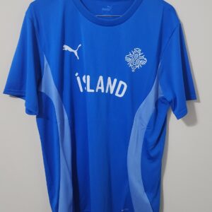 Men's Puma Iceland National Team 2024 Pre-Match Jersey